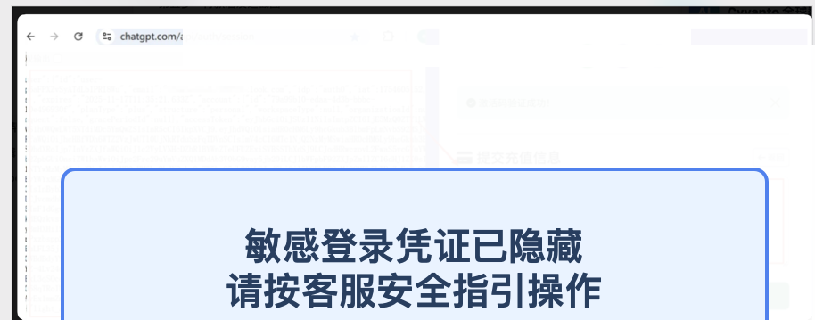 提交充值信息页面示意截图
